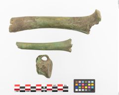 Foto von Bronzesitula (NHMW-PRAE-023693)